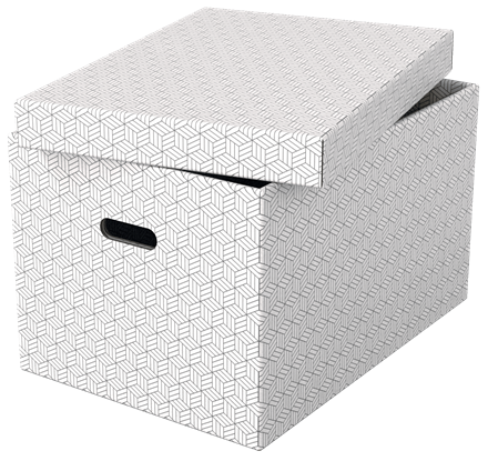 Esselte Pack de 3 Cajas de Almacenamiento Grandes Blanco 510x355x305 mm Esselte Pack de 3 Cajas de Almacenamiento Grandes Blanco 510x355x305 mm