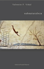Subnaturaleza, Valentin Fernandez Vidal - Rudolf Steiner