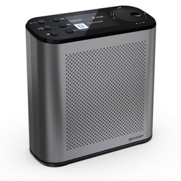 Sharp DR-P530 Osaka Radio Digital Portátil - Gris Tormenta