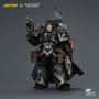 Joy Toy Warhammer Raven Guard Kaedes Nex, the Blood Crow