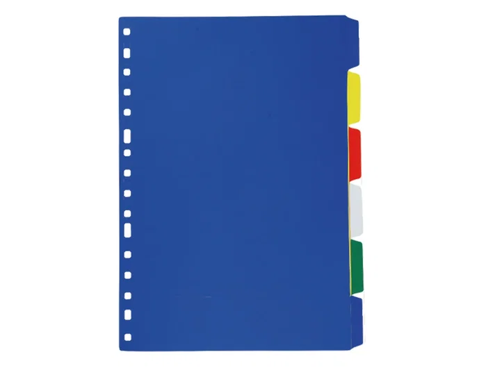 Liderpapel Juego de 6 Separadores Folio de Plástico con 16 Taladros