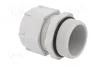 BM GROUP Sello aislante PG29 IP68 gris