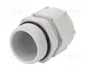 BM GROUP Sello aislante PG29 IP68 gris