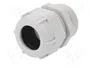BM GROUP Sello aislante PG29 IP68 gris