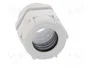 BM GROUP Sello aislante PG29 IP68 gris