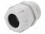 BM GROUP Sello aislante PG29 IP68 gris