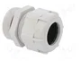 BM GROUP Sello aislante PG29 IP68 gris