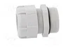 BM GROUP Sello aislante PG29 IP68 gris