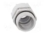 BM GROUP Sello aislante PG29 IP68 gris