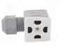 DANFOSS Enchufe para bobina IP67 250V