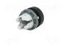 ABB MTS1-10B Interruptor de palanca negro 22mm