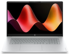 HP OmniBook 3 Ryzen 5 40 17,3 pulg. FHD 8GB 256GB Srebrny