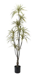 DKD Home Decor Planta PE PP Verde y Marrón 82x86x218 cm