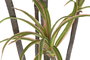DKD Home Decor Planta PE PP Verde y Marrón 82x86x218 cm