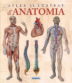 Atles il-lustrat d'anatomia, Adriana Rigutti - SUSAETA EDICIONES