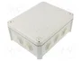 OBO BETTERMANN Caja de conexiones IP66 gris claro