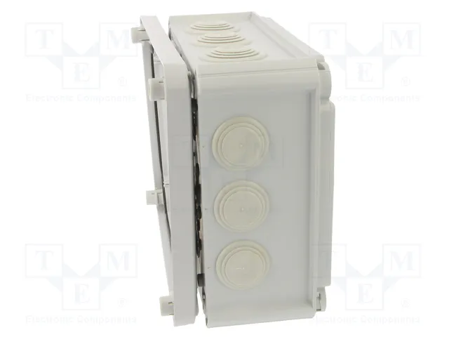 OBO BETTERMANN Caja de conexiones IP66 gris claro