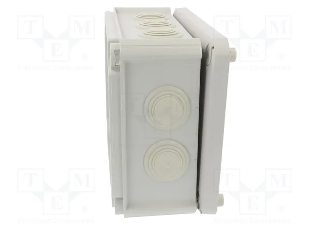 OBO BETTERMANN Caja de conexiones IP66 gris claro