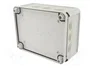 OBO BETTERMANN Caja de conexiones IP66 gris claro