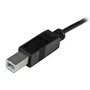 StarTech Cable USB-C a USB-B 2 m USB 2.0 Negro - Conecte impresoras o discos duros a puertos USB-C/Thunderbolt 3