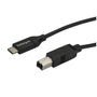 StarTech.com Cable USB-C a USB B 2.0 de 2m, Macho a Macho, Negro