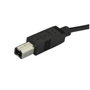 StarTech.com Cable USB-C a USB B 2.0 de 2m, Macho a Macho, Negro