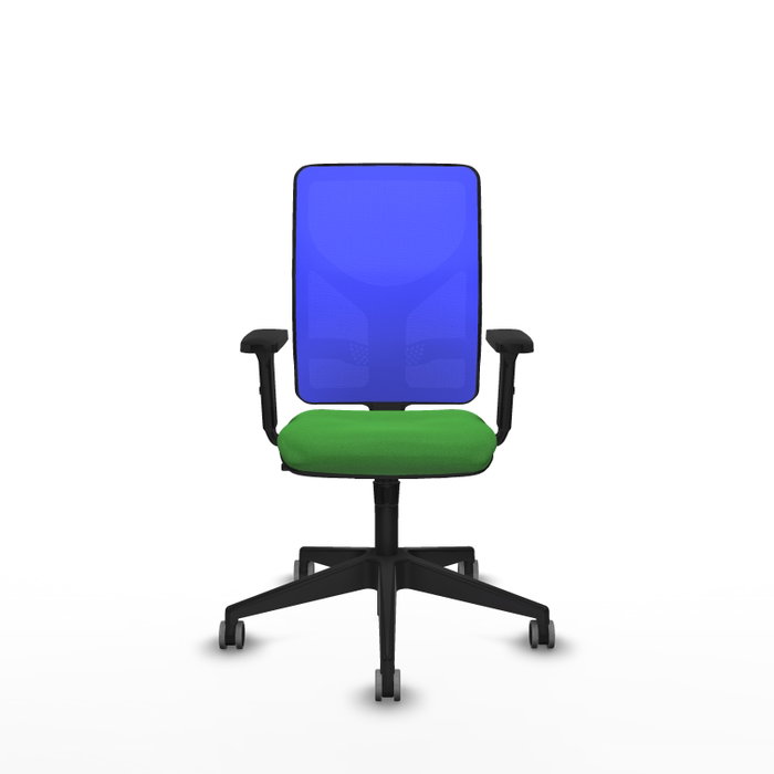 PIQUERAS Y CRESPO Silla de oficina Motilla con mecanismo Sincro, Tela Verde y Malla Azul PIQUERAS Y CRESPO Silla de oficina Motilla con mecanismo Sincro, Tela Verde y Malla Azul