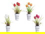 IBERGARDEN Planta Tulipan en Bote Metal Surtidos 15 cm x 31 cm x 15 cm (Set de 12)