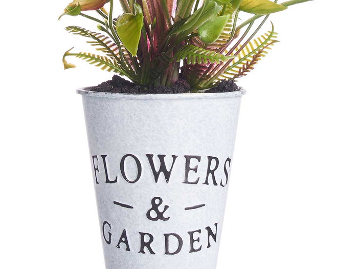 IBERGARDEN Planta Tulipan en Bote Metal Surtidos 15 cm x 31 cm x 15 cm (Set de 12)