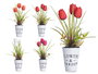 IBERGARDEN Planta Tulipan en Bote Metal Surtidos 15 cm x 31 cm x 15 cm (Set de 12)