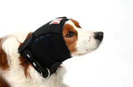 Kruuse Protector Auricular Talla 2XL