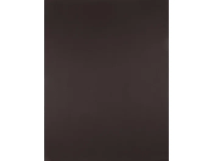 Liderpapel Cartulina Marrón 50x65 cm 180 g Liderpapel Cartulina Marrón 50x65 cm 180 g