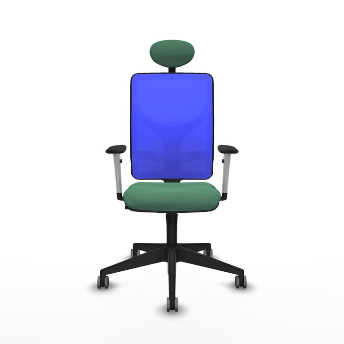 PIQUERAS Y CRESPO Silla de oficina Motilla con mecanismo Sincro, Tela Verde esmeralda y Malla Azul