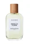 Roos & Roos Angelica Florae Agua de perfume para mujeres