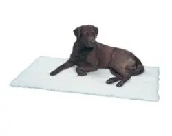 KRUUSE Cama Veterinaria Antideslizante Gris 75x50cm