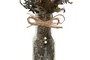 DKD Home Decor Planta de Flor Seca y Cristal Surtido de 3 Unidades