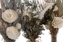 DKD Home Decor Planta de Flor Seca y Cristal Surtido de 3 Unidades