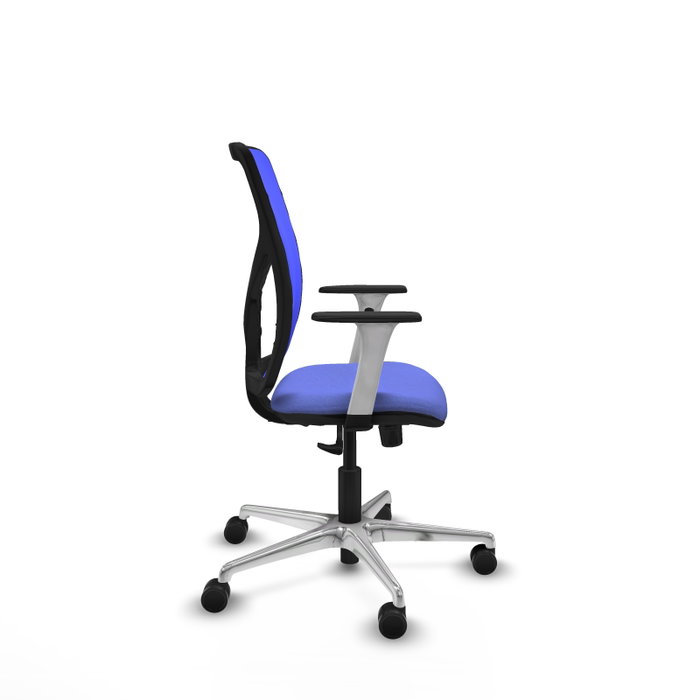 PIQUERAS Y CRESPO Silla de oficina Motilla con mecanismo Sincro, Azul PIQUERAS Y CRESPO Silla de oficina Motilla con mecanismo Sincro, Azul