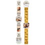 Quid Tarro PET Cocco 2 L (12 Unidades)