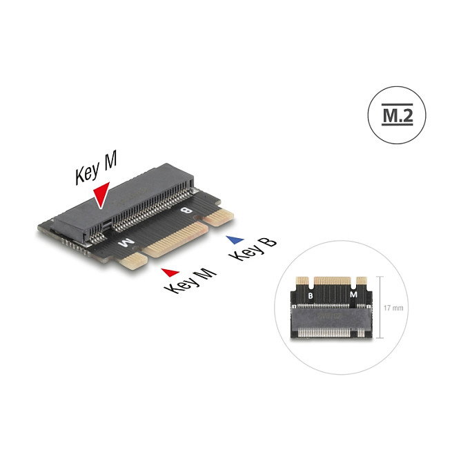 DeLOCK Adaptador de extensión M.2 Key B+M a ranura M.2 Key M 64342