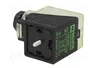 MURRELEKTRONIK Conector de válvulas industrial formato A 18mm 3 PIN