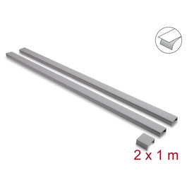 DeLOCK Pack de 2 Canaletas Autoadhesivas con Tapa Deslizante 40 x 19 mm, Gris
