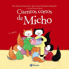BRUÑO, CUENTOS CORTOS DE MICHO