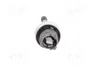 SCHNEIDER ELECTRIC Interruptor Joystick Harmony XB4 Negro 22mm