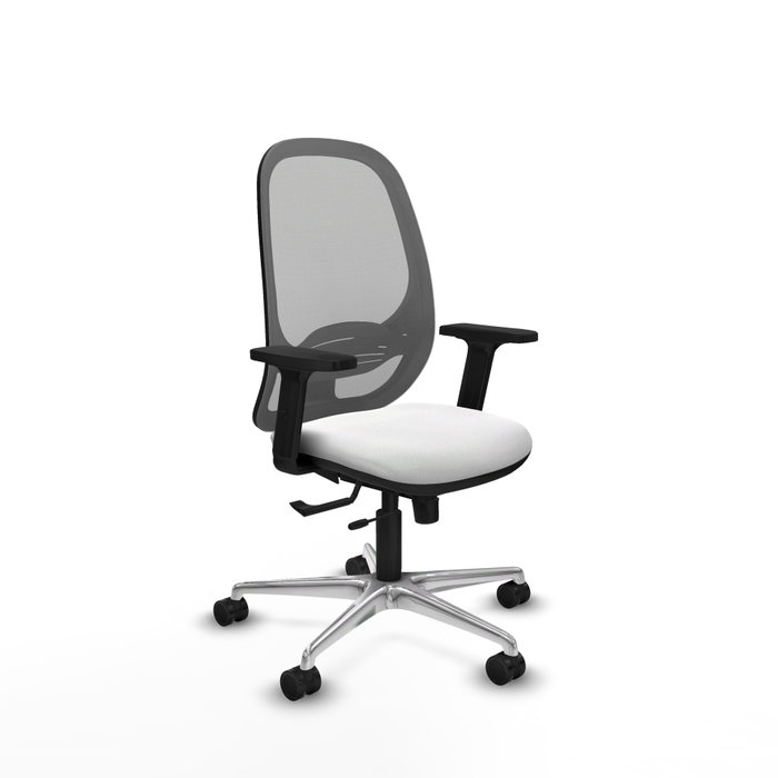 PIQUERAS Y CRESPO Silla de oficina Cilanco con mecanismo Sincro/Traslack, Blanco y Gris PIQUERAS Y CRESPO Silla de oficina Cilanco con mecanismo Sincro/Traslack, Blanco y Gris