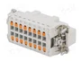 LAPP Conector HDC EPIC H-BE Macho 16 PIN
