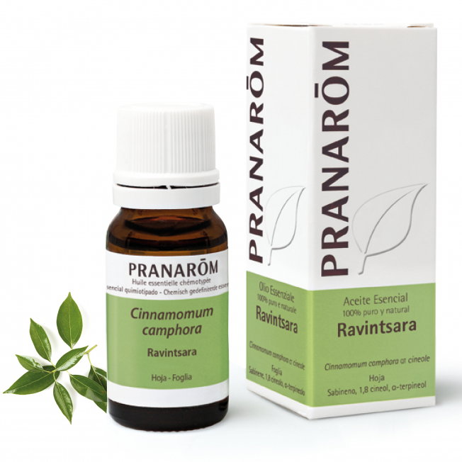 Pranarôm Aceite Esencial Ravintsara 10 ml