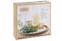 DKD Home Decor Set de 6 Velas de Cristal con Bandeja de MDF Dorada
