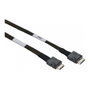 Supermicro Cable CBL-SAST-0819 OCuLink SFF-8611 a SFF-8611 Derecho 65 cm Negro