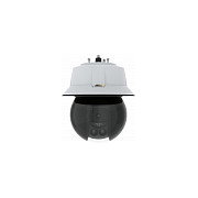 Axis Q6315-LE 50 Hz PTZ 1080p 50fps Cámara de Seguridad IP Interior y Exterior 1920x1080 Píxeles Pared